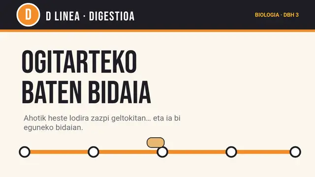 «Ogitarteko baten bidaia» aurkezpenaren azala