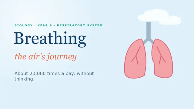 Cover of the presentation “Breathing: the journey of air”
