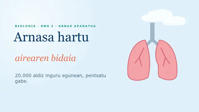 «Arnasa hartu: airearen bidaia» aurkezpenaren azala