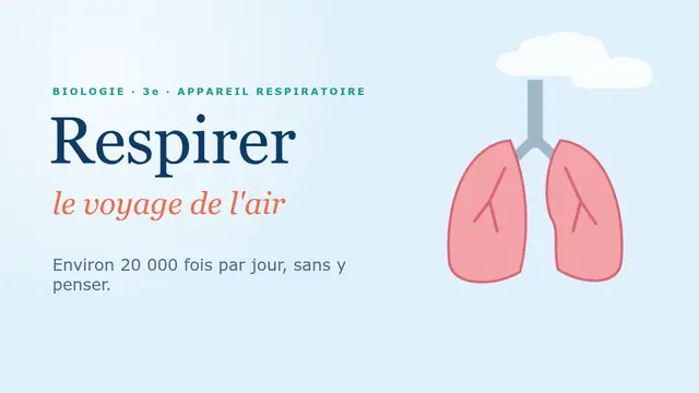 Couverture de la présentation « Respirer : le voyage de l'air »