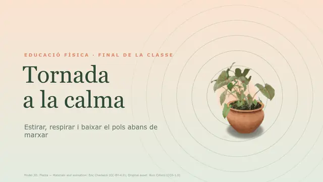 Portada de la presentació «Tornada a la calma: estirar i respirar»