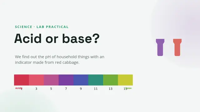 Cover of the presentation “Lab: acid or base?”