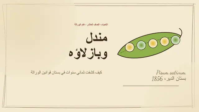 غلاف العرض التقديمي «مندل والبازلاء»