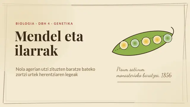 «Mendel eta ilarrak» aurkezpenaren azala