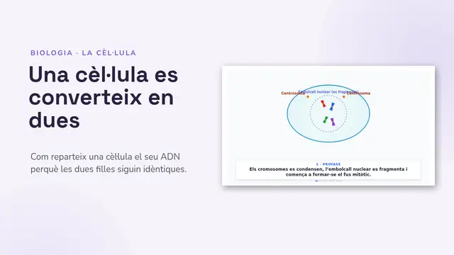 Portada de la presentació «La mitosi, animada»