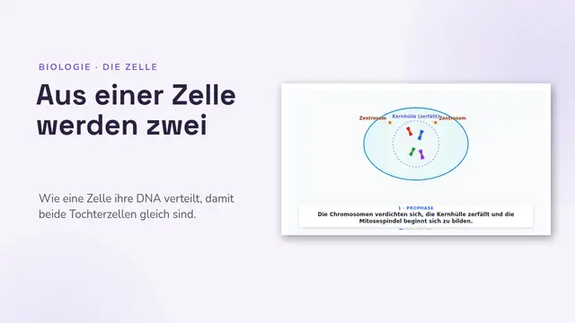 Titelfolie der Präsentation „Die Mitose, animiert“