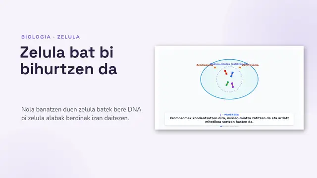 «Mitosia, animatuta» aurkezpenaren azala