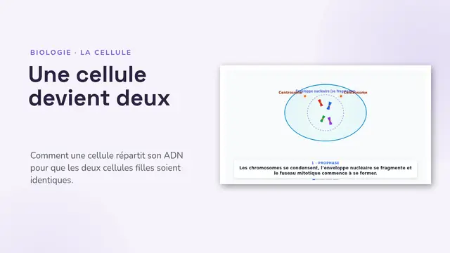 Couverture de la présentation « La mitose, animée »
