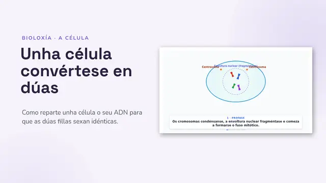 Portada da presentación «A mitose, animada»