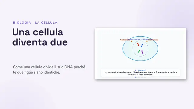 Copertina della presentazione «La mitosi, animata»