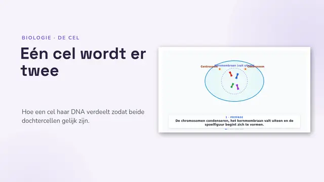 Titeldia van de presentatie ‘De mitose, geanimeerd’