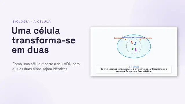 Capa da apresentação «A mitose, animada»