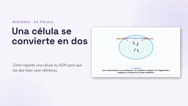 Portada de la presentación «La mitosis, animada»