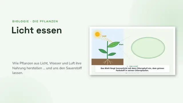 Titelfolie der Präsentation „Die Fotosynthese, animiert“