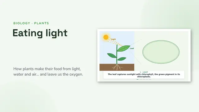 Cover of the presentation “Photosynthesis, animated”