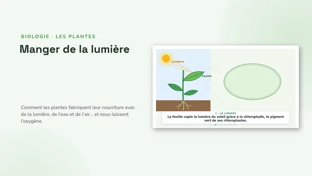 Couverture de la présentation « La photosynthèse, animée »