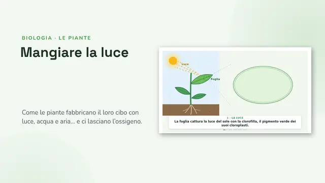 Copertina della presentazione «La fotosintesi, animata»