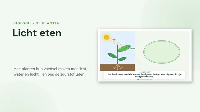 Titeldia van de presentatie ‘De fotosynthese, geanimeerd’
