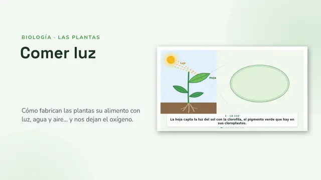 Portada de la presentación «La fotosíntesis, animada»