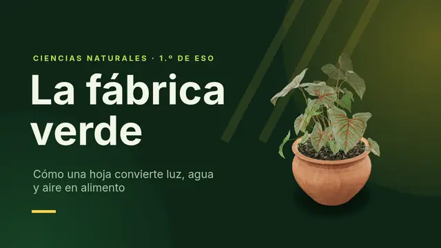 Portada de la presentación «Fotosíntesis: la fábrica verde»