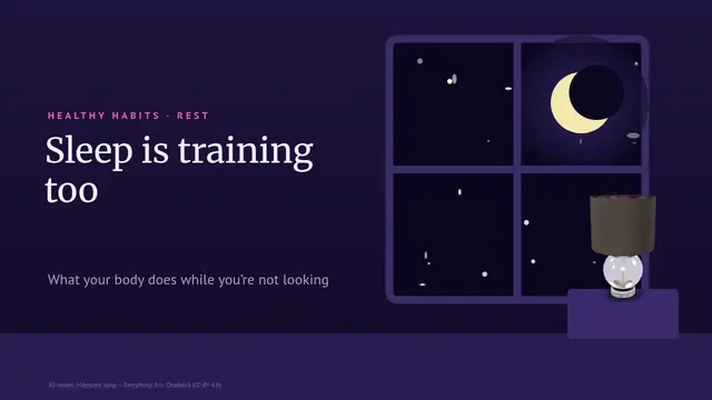 Cover of the presentation “Sleeping is training too”