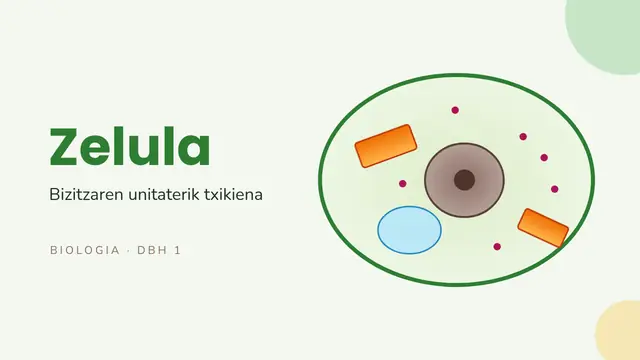 «Zelula» aurkezpenaren azala