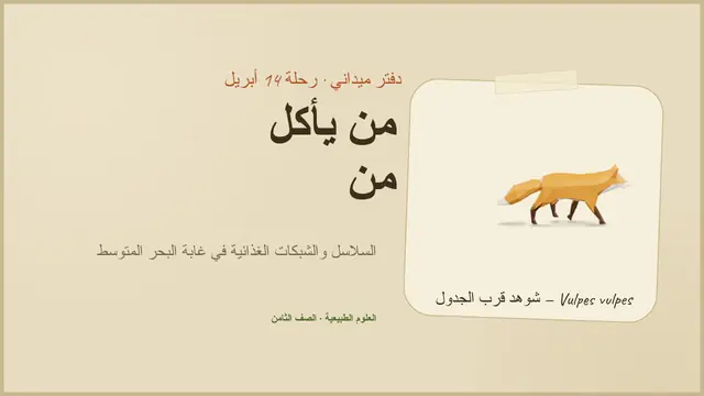 غلاف العرض التقديمي «الغابة: من يأكل من»