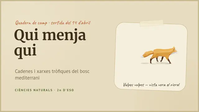 Portada de la presentació «El bosc: qui menja qui»