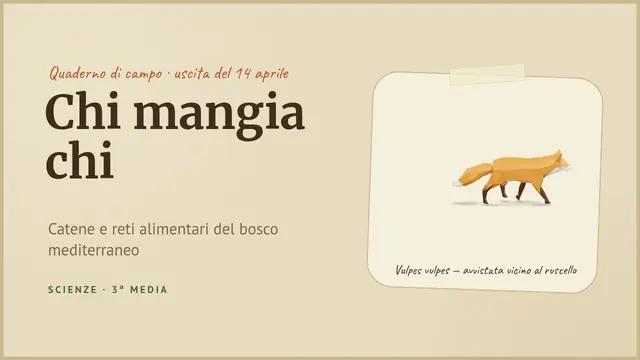 Copertina della presentazione «Il bosco: chi mangia chi»
