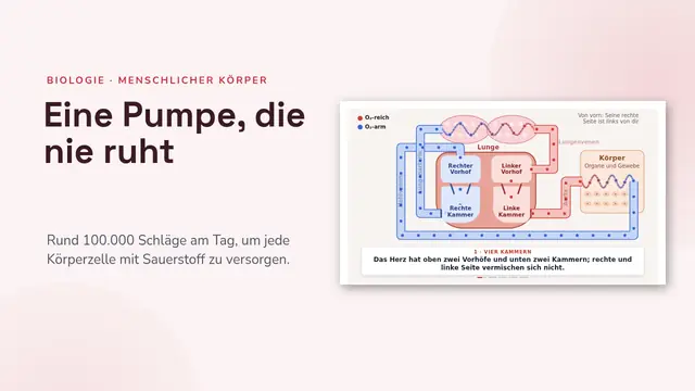 Titelfolie der Präsentation „Herz und Kreislauf, animiert“
