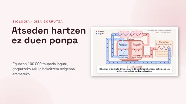 «Bihotza eta zirkulazioa, animatuta» aurkezpenaren azala