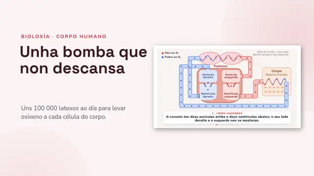 Portada da presentación «O corazón e a circulación, animados»