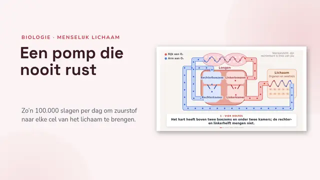Titeldia van de presentatie ‘Het hart en de bloedsomloop, geanimeerd’